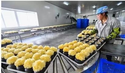 訪企業(yè)、解難題、促“六穩(wěn)”——尤溪 深入項目一線為企精準把脈，力促商貿繁榮發(fā)展